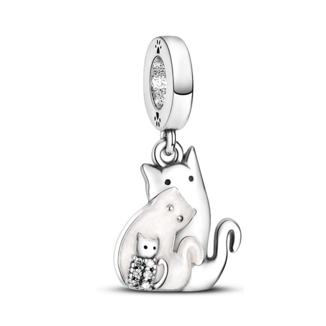 Kedi Ailesi Sarkan Charm