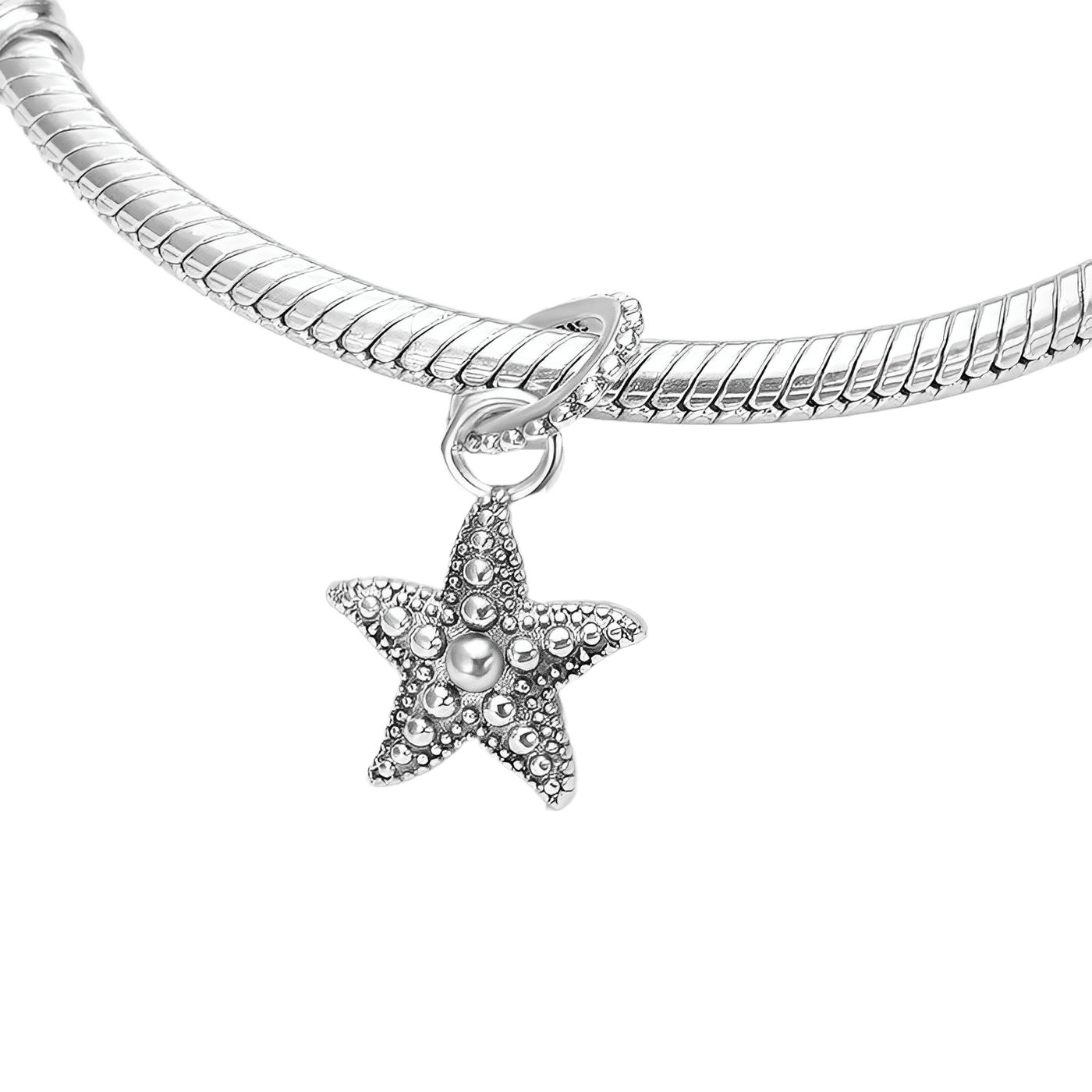 Parıldayan Deniz Yıldızı Sallantılı Charm